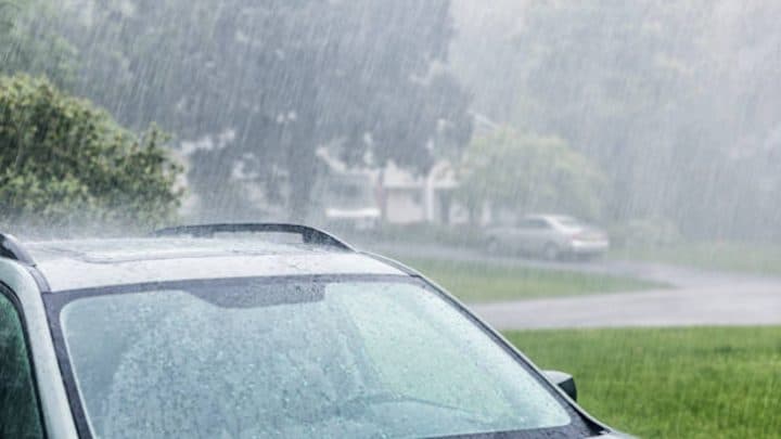 Rain